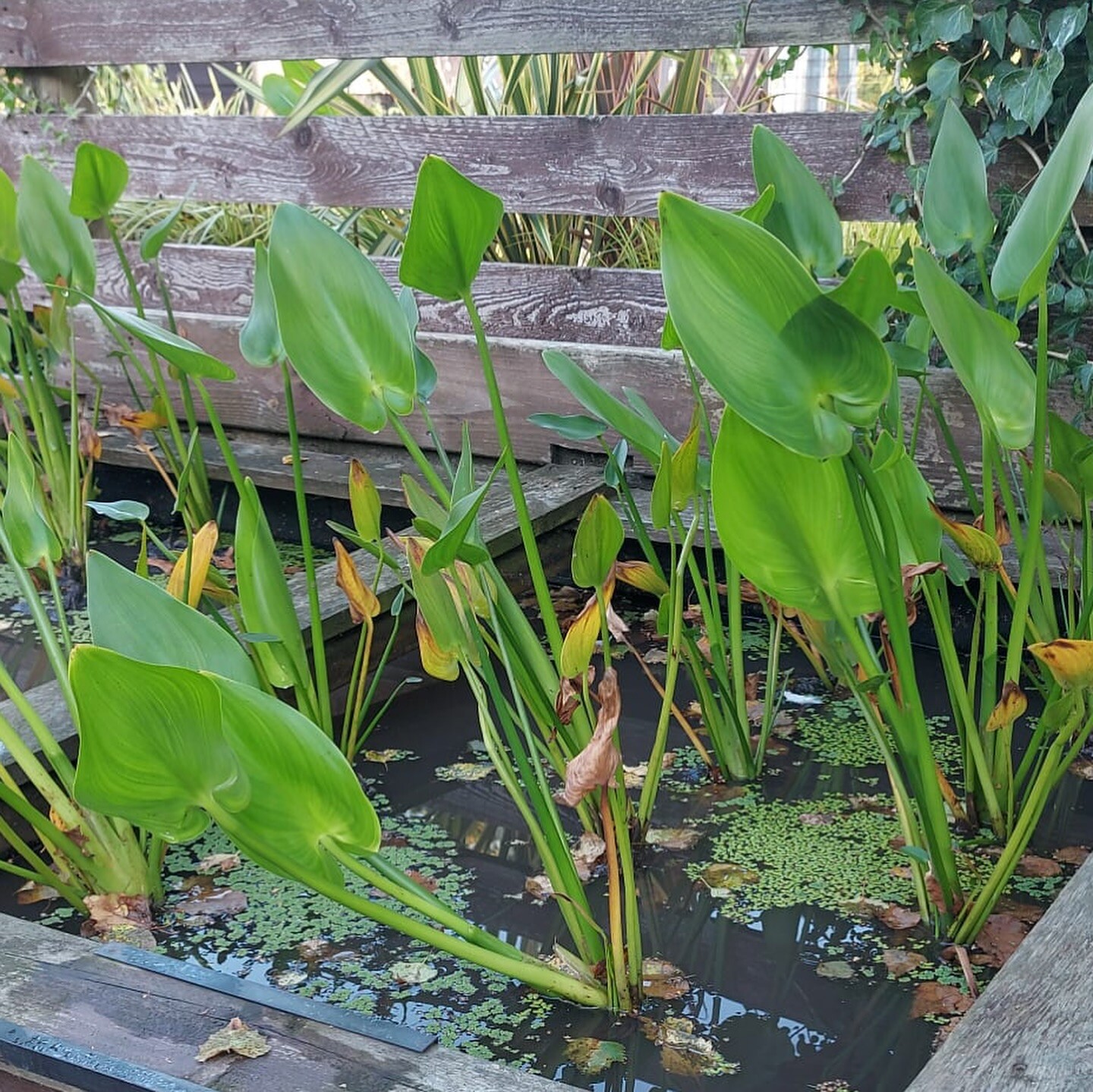 468907344 17866306041256995 5989827656378714850 n