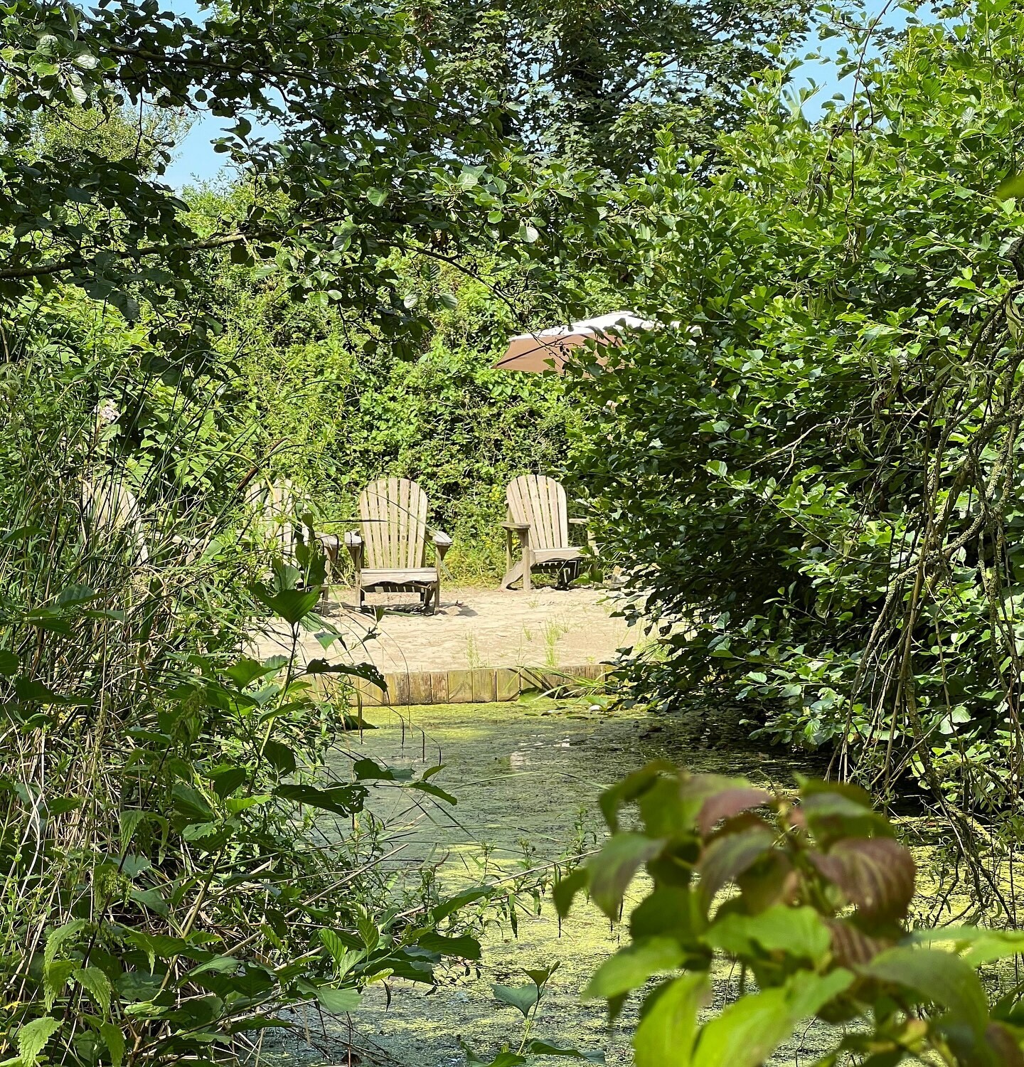 481076049 1112067614053544 1773404493035354317 n