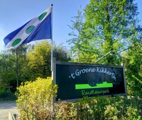 Het groene kikkertje