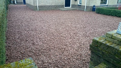 Tuin-vijver-aanleg-zierikzee-schouwen-duiveland-groene-kikkertje (28)