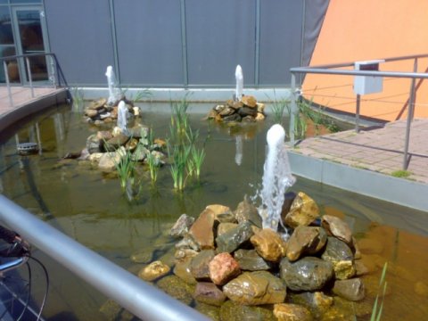 tuincentrum-tuinaanleg-tuinontwerp-schouwen-duiveland-het-groene-kikkertje-zierikzee-dreischor-4