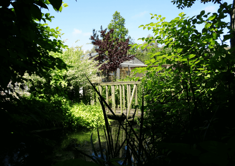 vijvercentrum-tuincentrum-schouwen-duiveland-het-groene-kikkertje-zierikzee-dreischor (56)