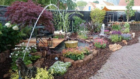 vijvercentrum-vijveraanleg-vijveronderhoud-tuincentrum-schouwen-duiveland-het-groene-kikkertje-2