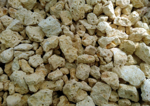 vijvercentrum-vijverplanten-het-groene-kikkertje-substraat